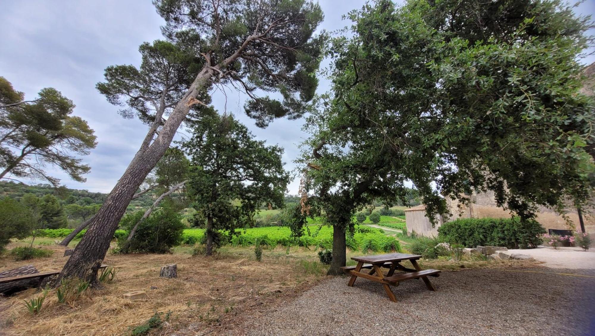 La Pinede, Logement Privatif Au Chateau Aumes ภายนอก รูปภาพ