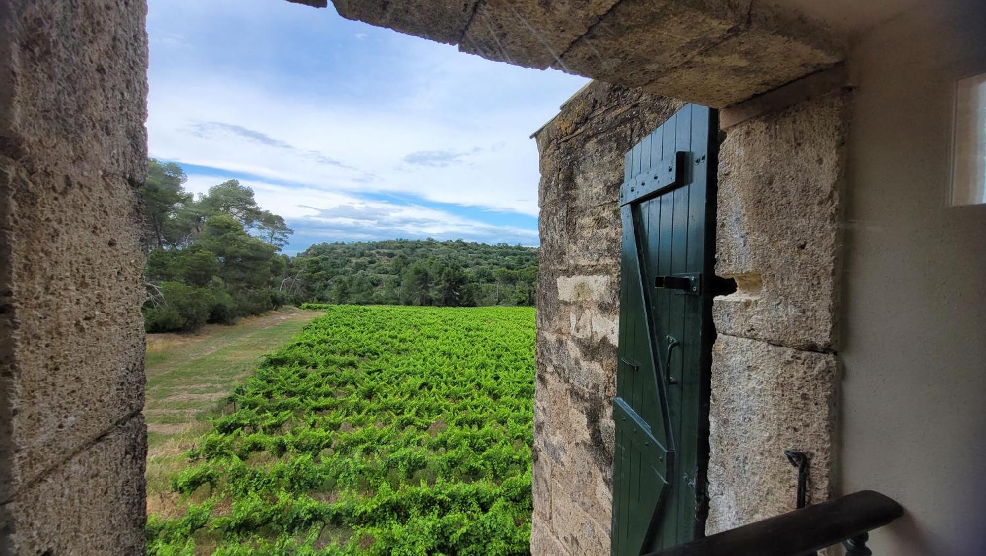 La Pinede, Logement Privatif Au Chateau Aumes ภายนอก รูปภาพ