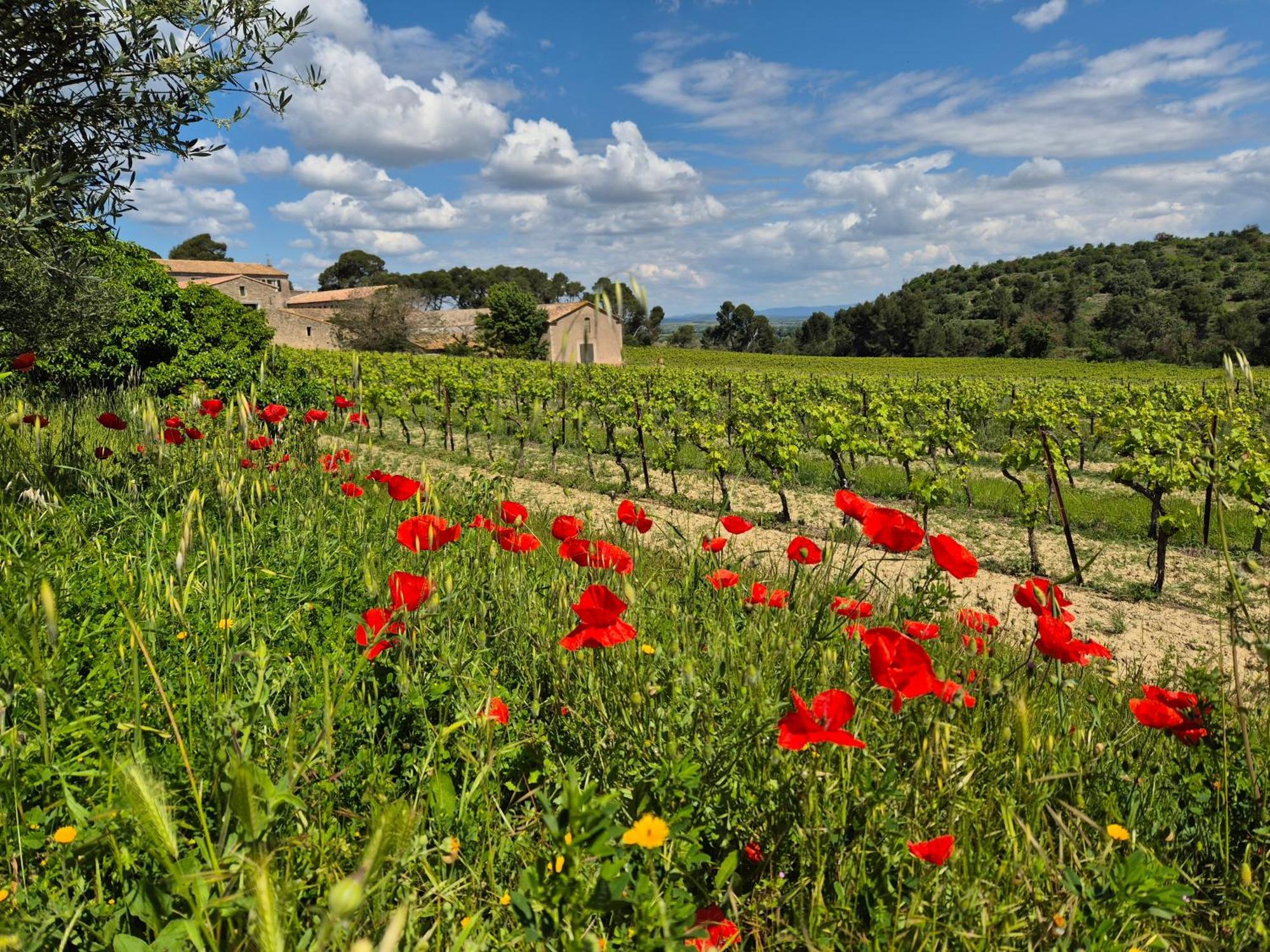 La Pinede, Logement Privatif Au Chateau Aumes ภายนอก รูปภาพ